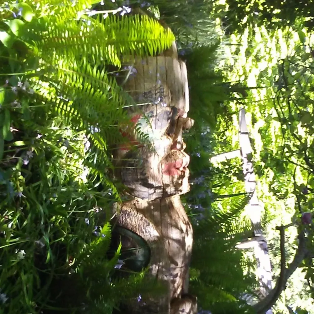 shiiteholycountry.bsky.social's profile picture