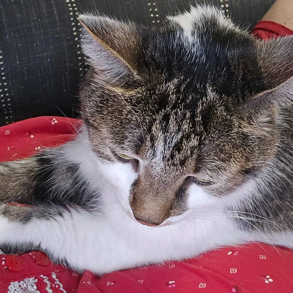 patti13.bsky.social's profile picture