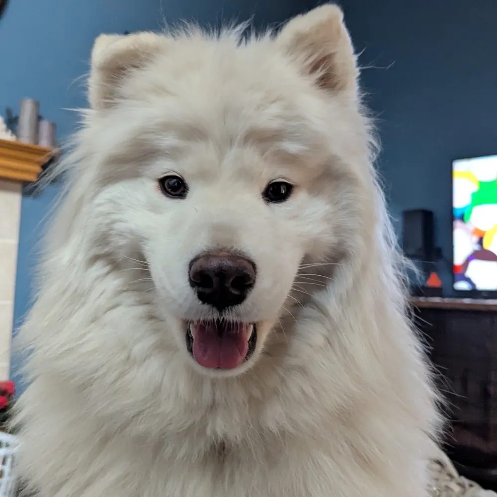 decker2000.bsky.social's profile picture