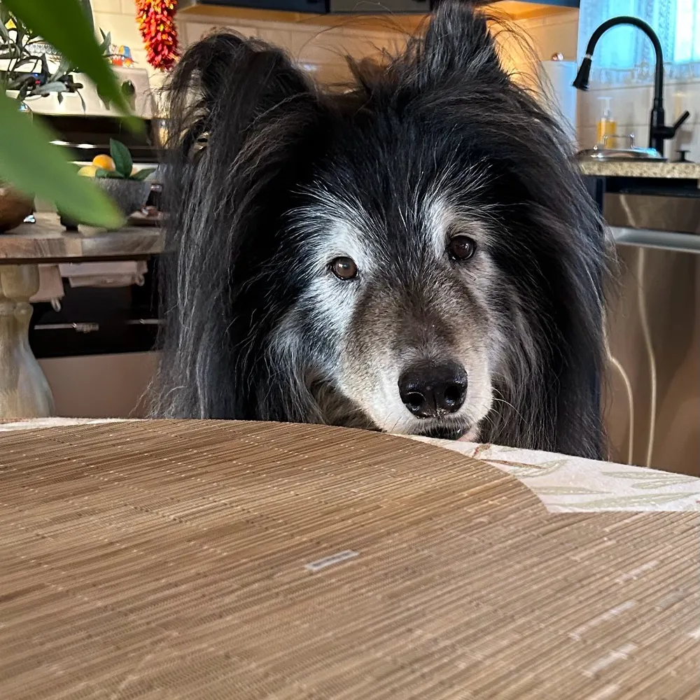 torie138.bsky.social's profile picture