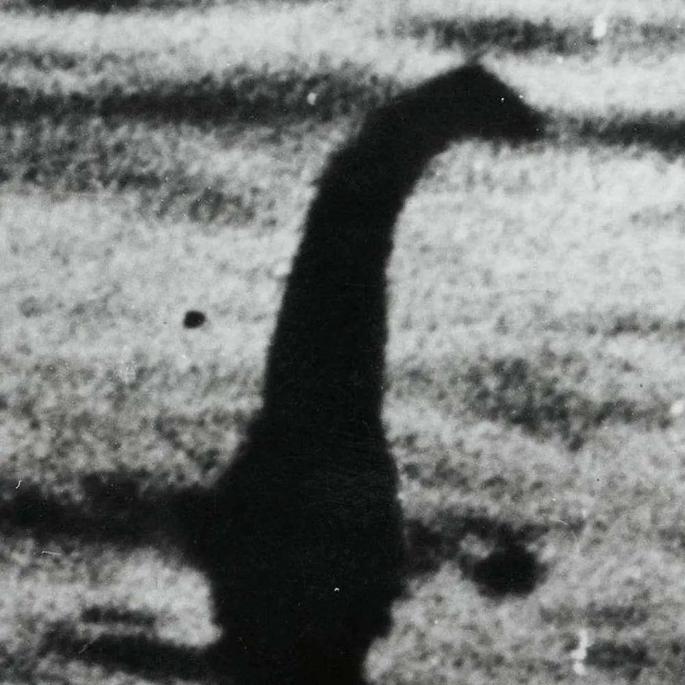 cryptidworks.bsky.social's profile picture