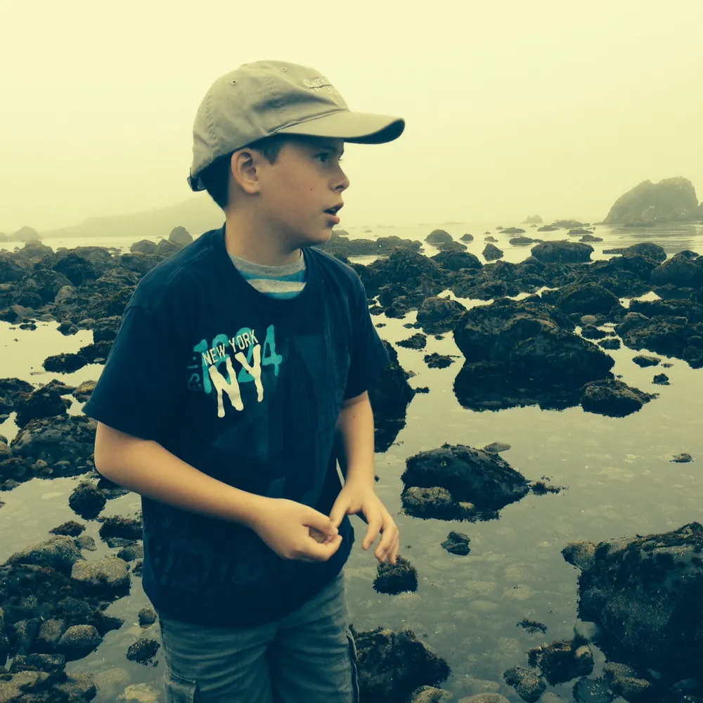 zenburger.bsky.social's profile picture