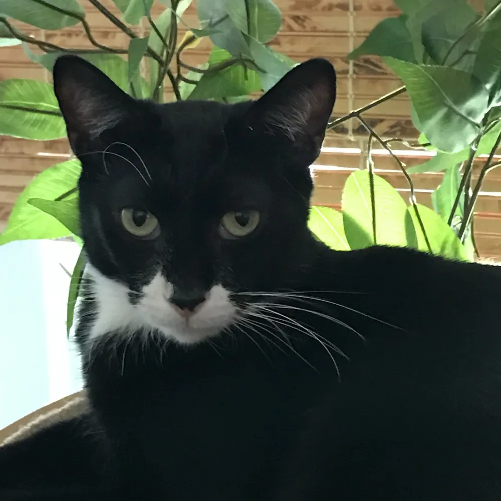 jeanwinters.bsky.social's profile picture