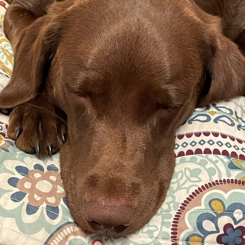 jobeth.bsky.social's profile picture