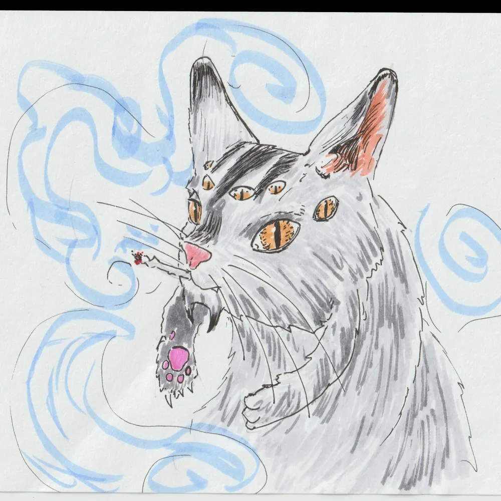 tumbleash.bsky.social's profile picture