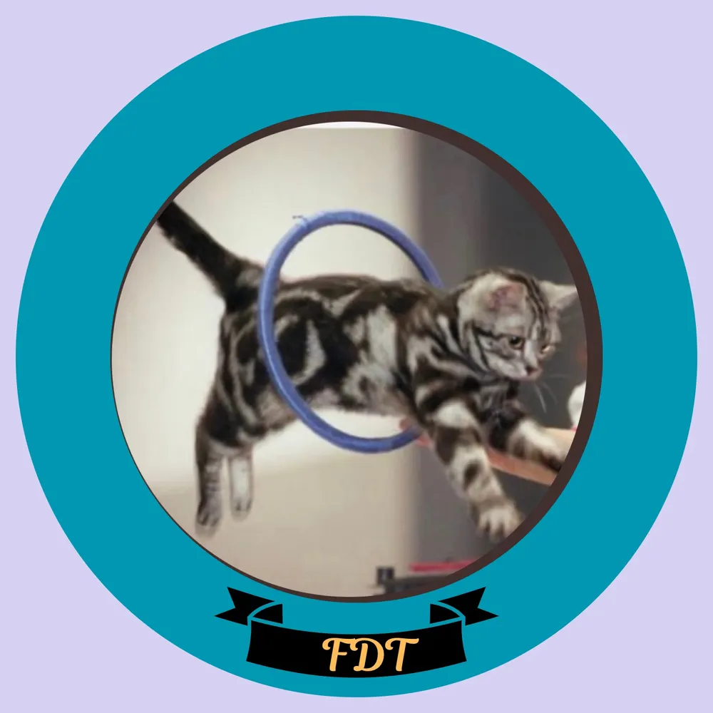 katalison.bsky.social's profile picture