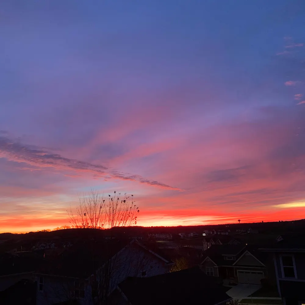 acpinono.bsky.social's profile picture