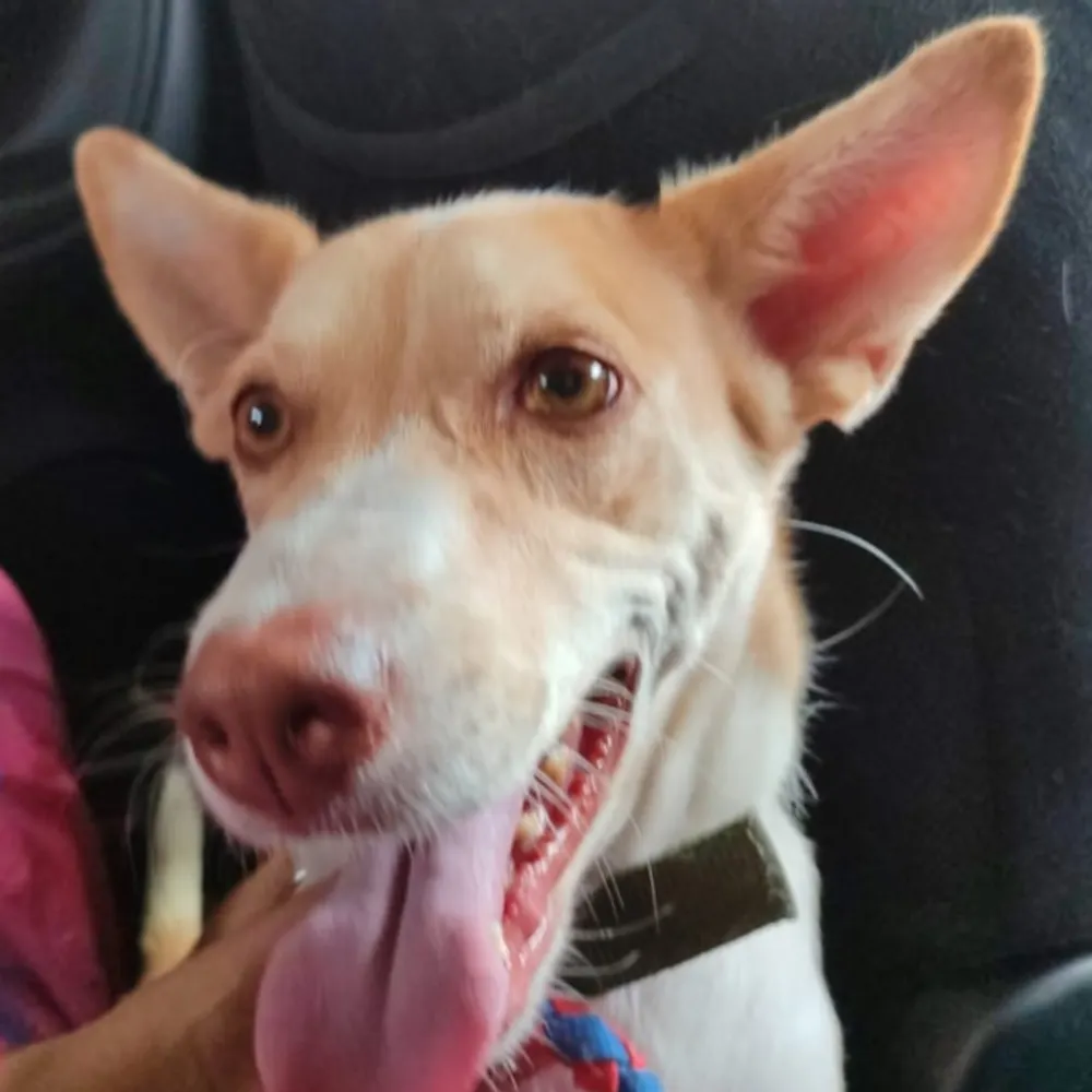 kbuns3.bsky.social's profile picture