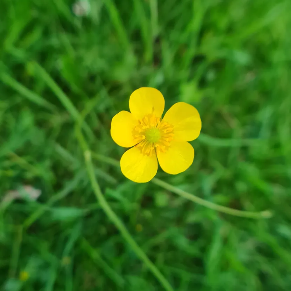 cathectic.bsky.social's profile picture