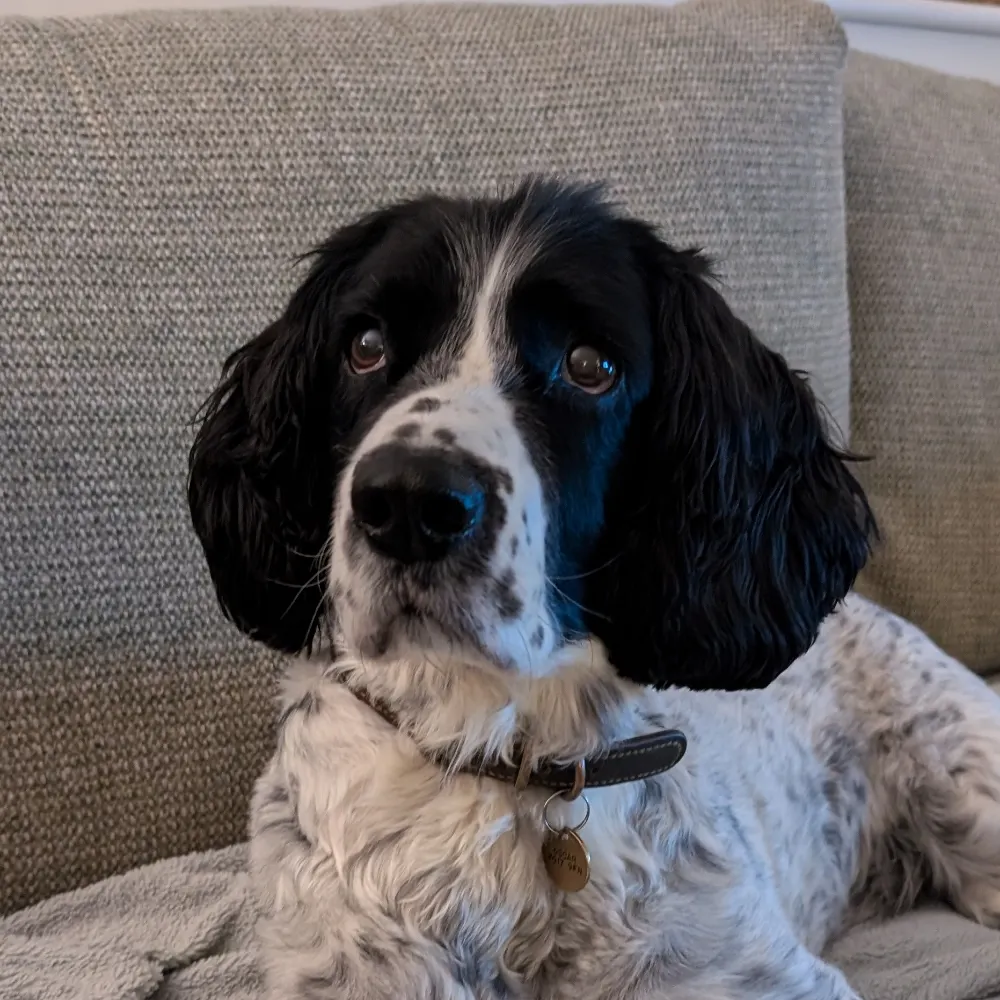 jd007ifonly.bsky.social's profile picture