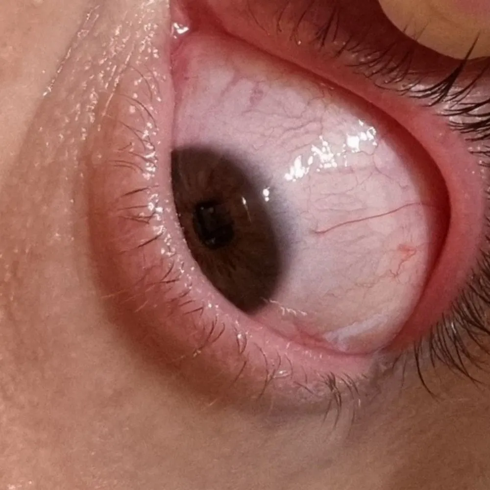 erhanturel.bsky.social's profile picture