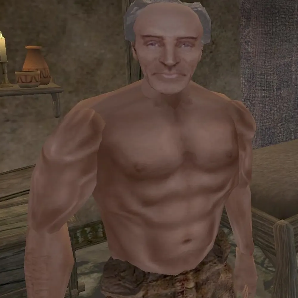 morrowind-txt.bsky.social's profile picture