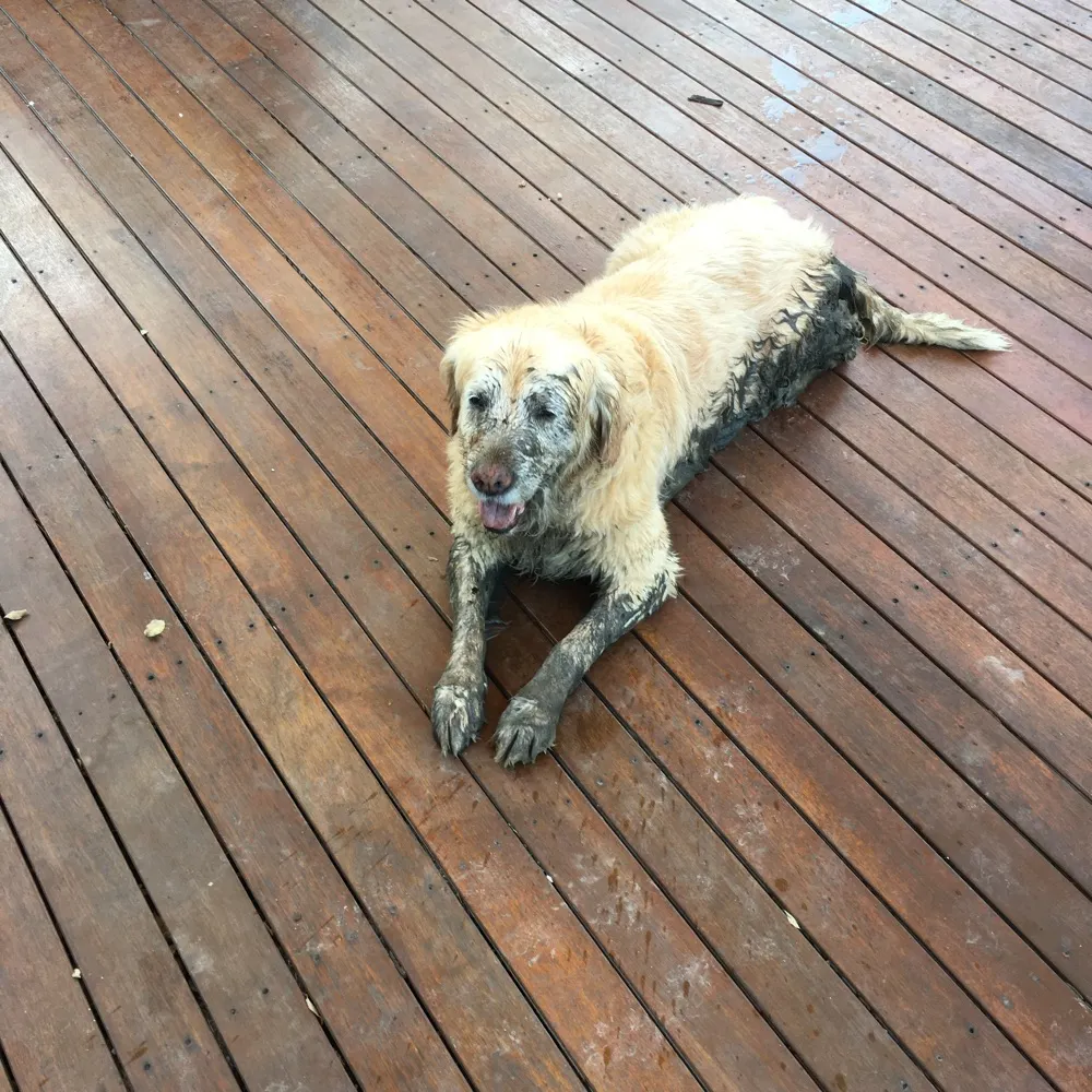 meidasmitchie.bsky.social's profile picture