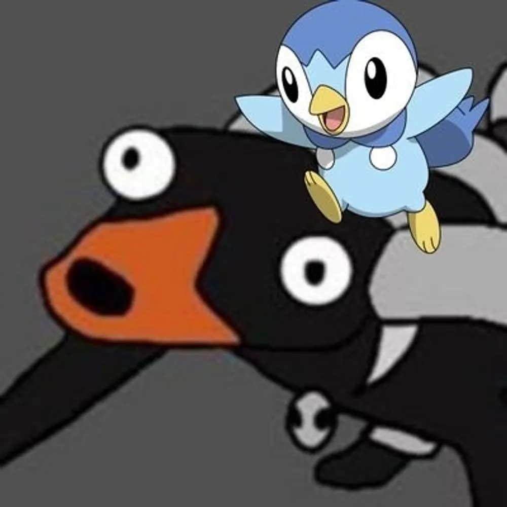 zehalz.bsky.social's profile picture