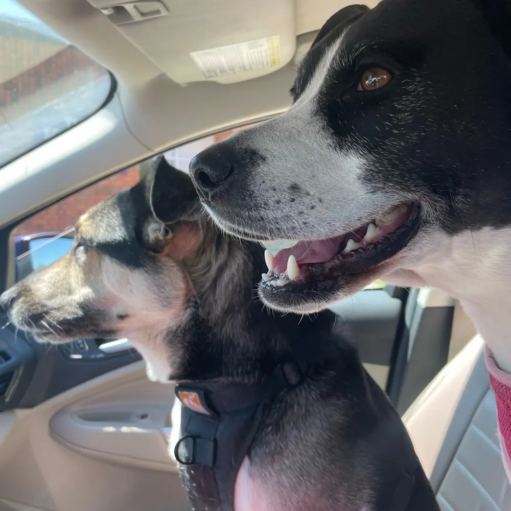 bluedotinmi.bsky.social's profile picture