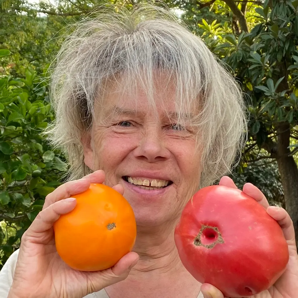 annemiekvanmoorst.bsky.social's profile picture