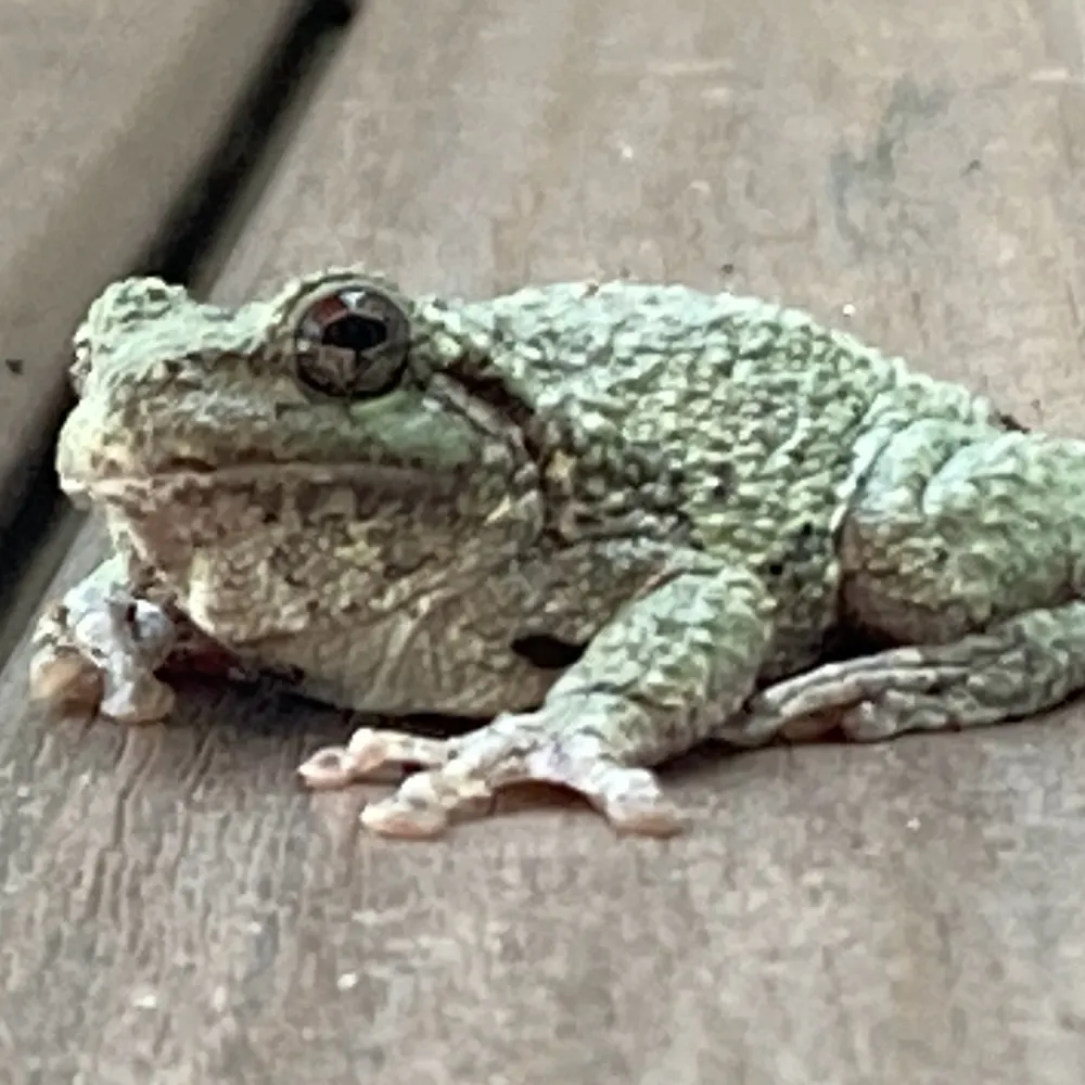 pi3832.bsky.social's profile picture