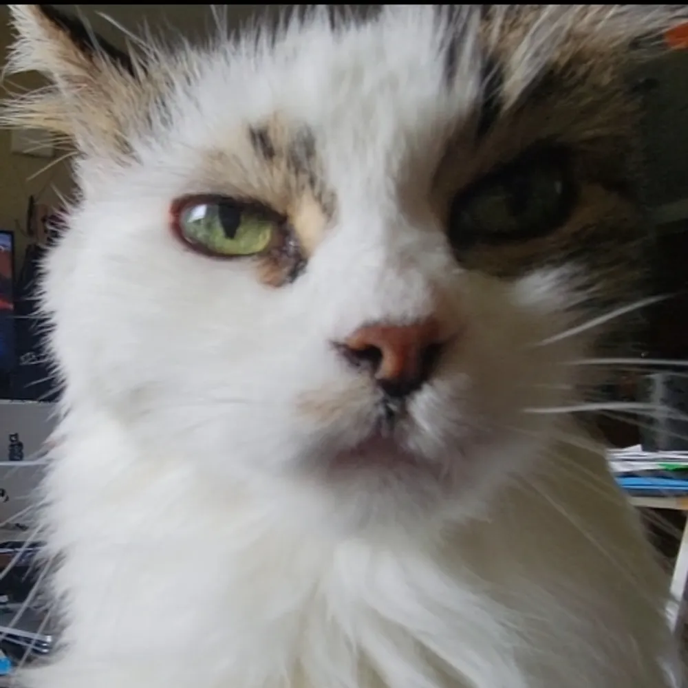 staysik.bsky.social's profile picture