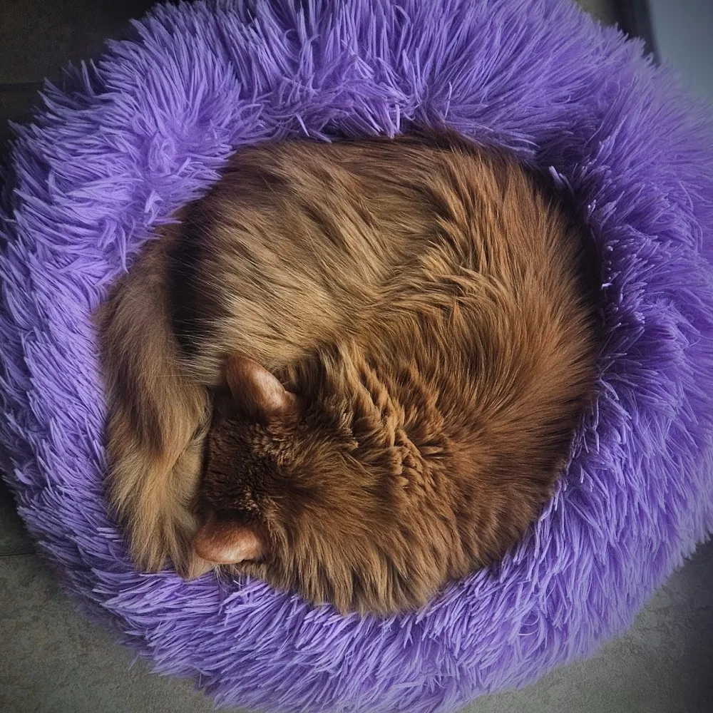 barbb.bsky.social's profile picture