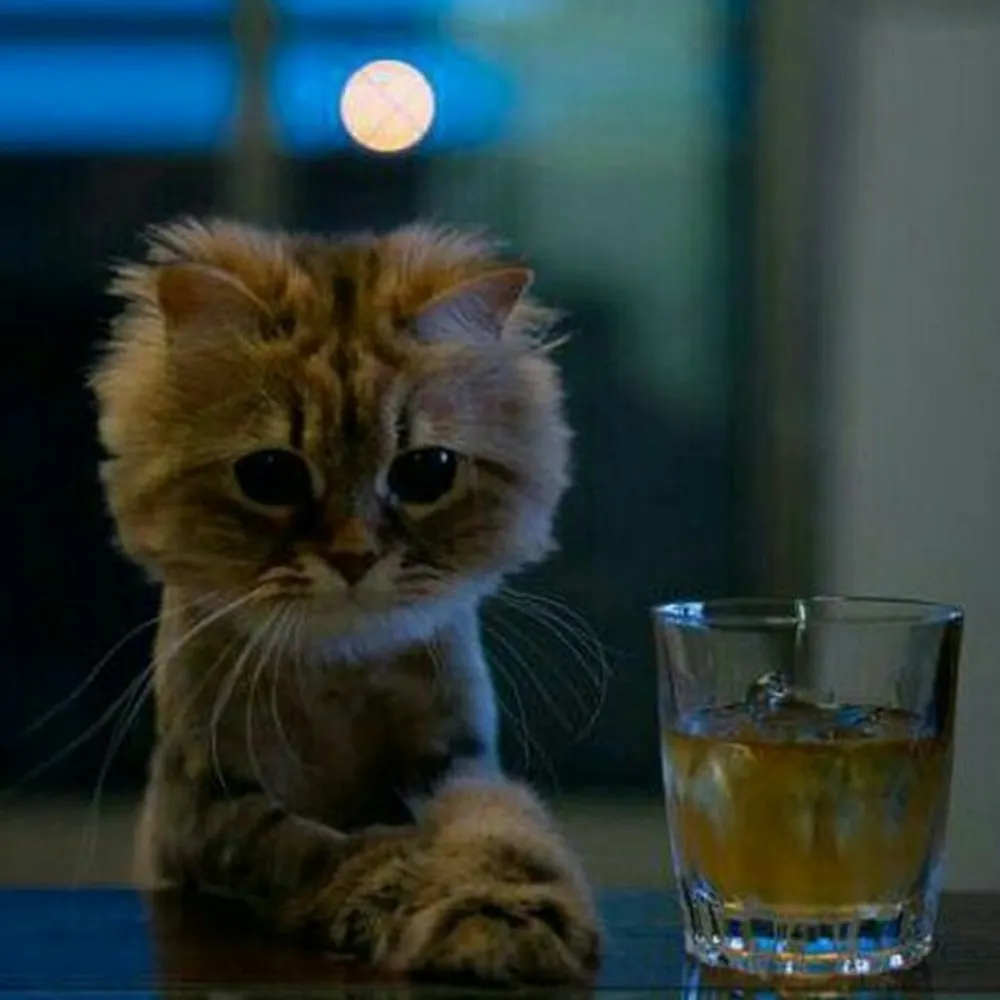 bzf1345.bsky.social's profile picture