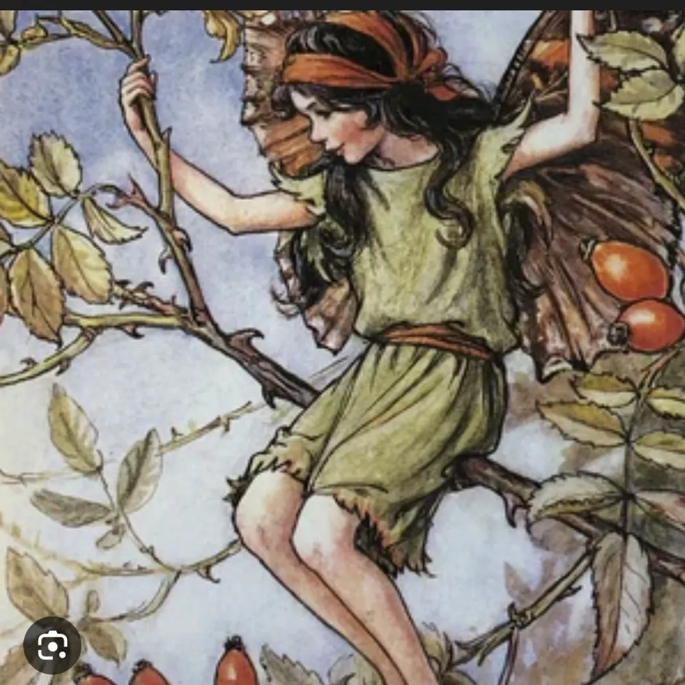 rose-hipp.bsky.social's profile picture