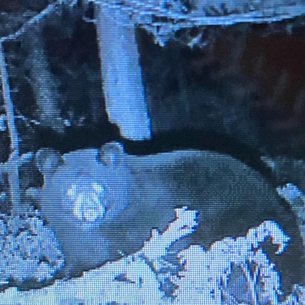 glbqwer.bsky.social's profile picture