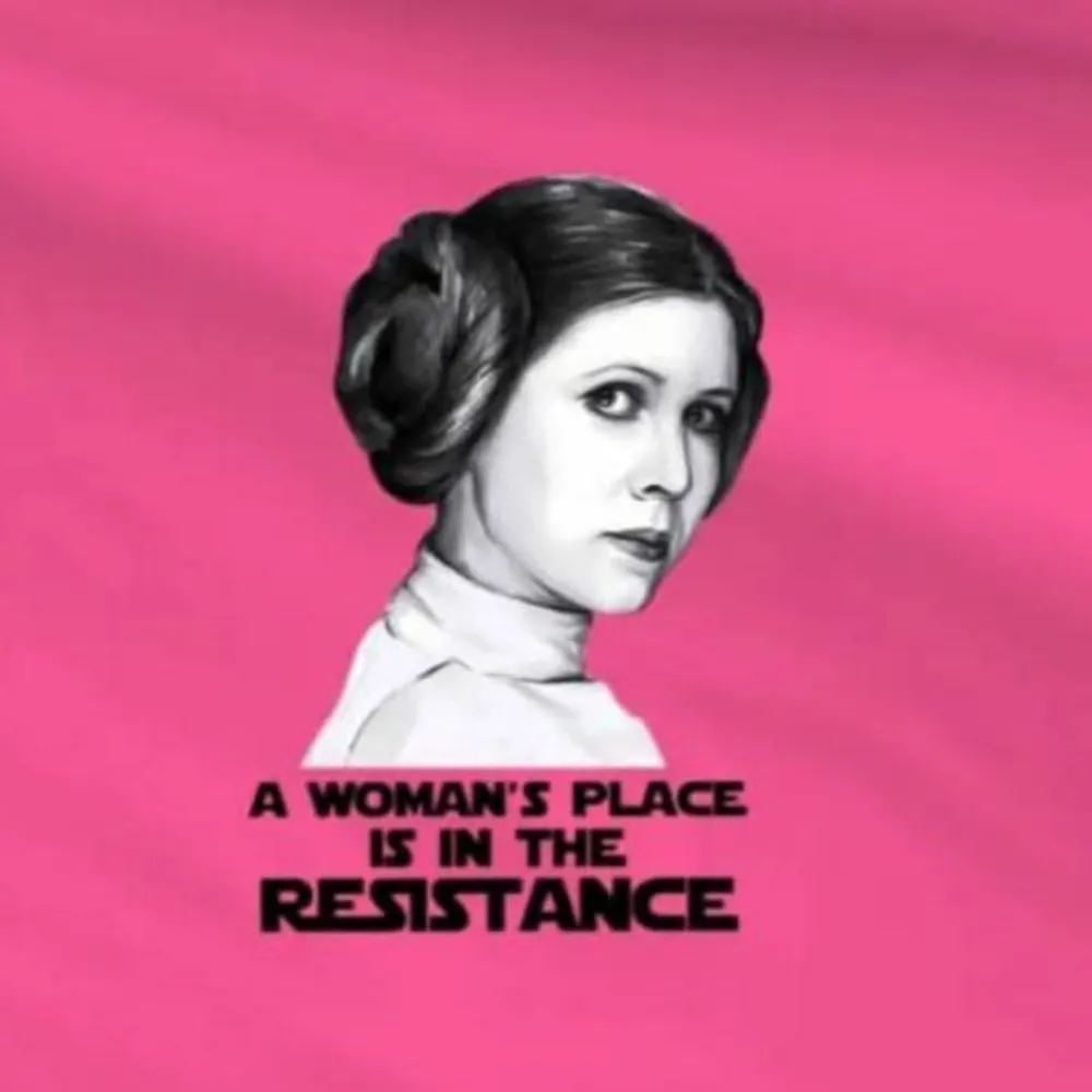 alley-the-cat.bsky.social's profile picture