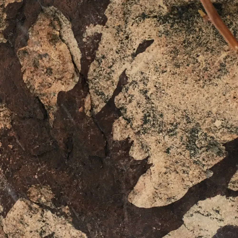 geo63.bsky.social's profile picture