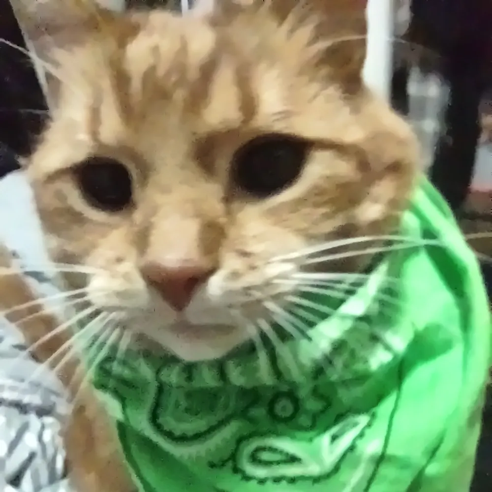 maggiepriceless.bsky.social's profile picture