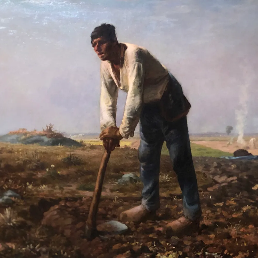 contouredbrain.bsky.social's profile picture