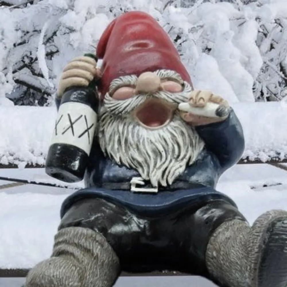 kabouterjong.bsky.social's profile picture