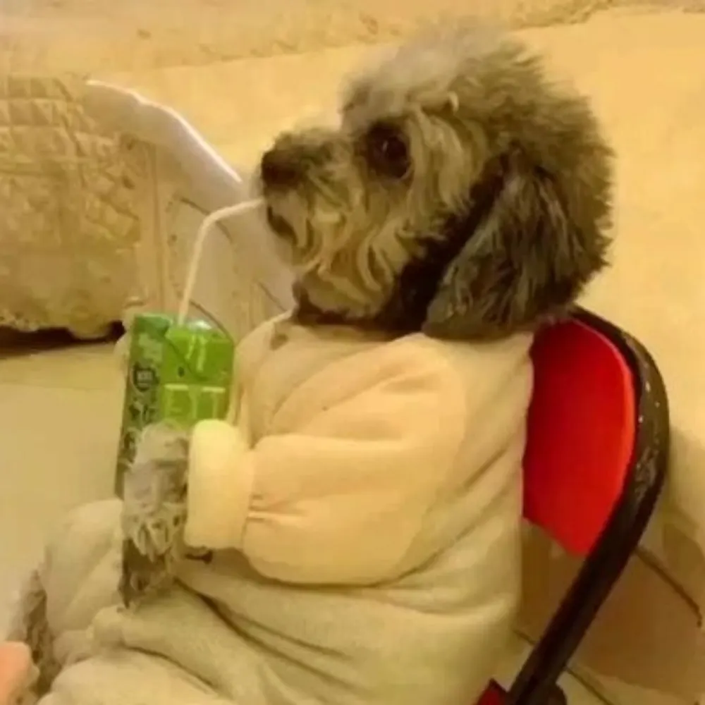 juuzokuriron.bsky.social's profile picture