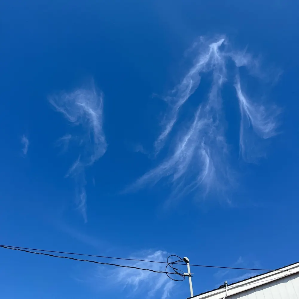 zepultra.bsky.social's profile picture