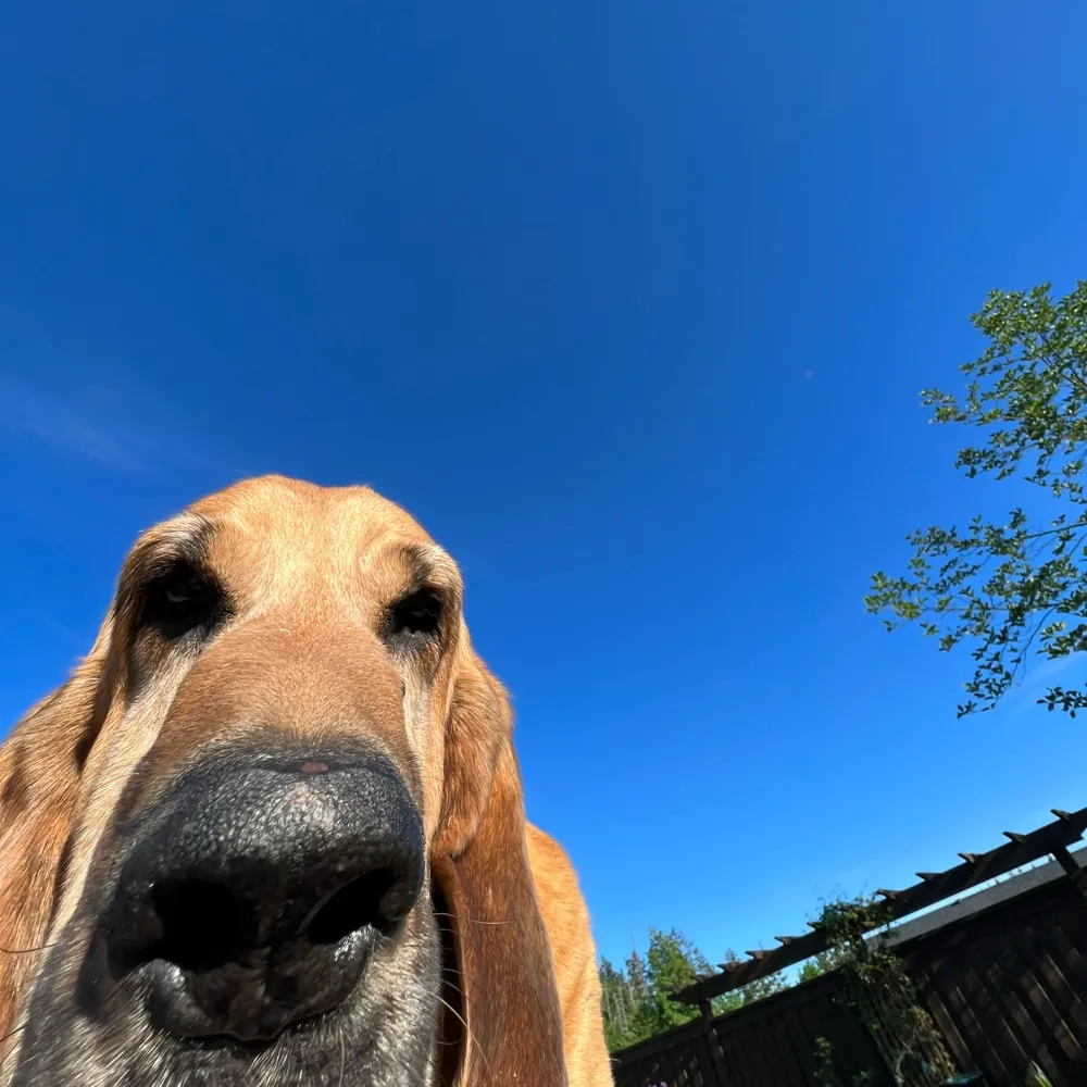 traceytaylor.bsky.social's profile picture