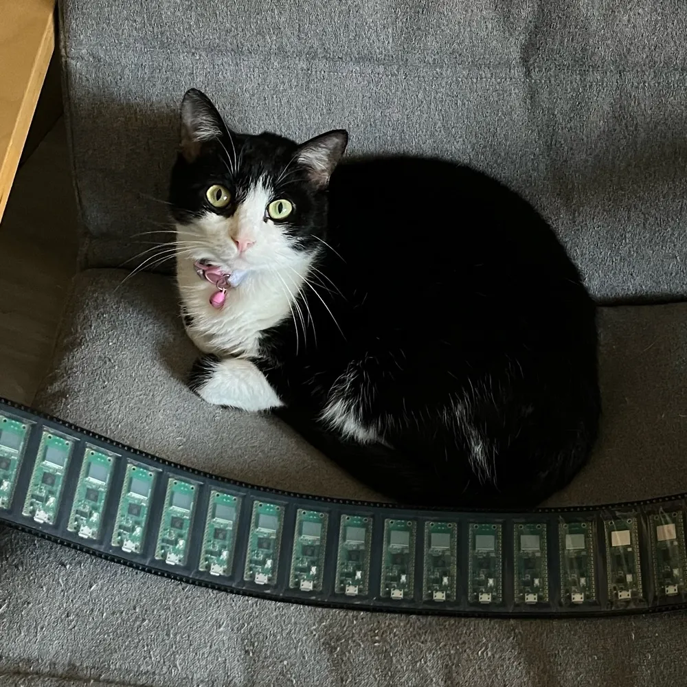 matoushybl.bsky.social's profile picture