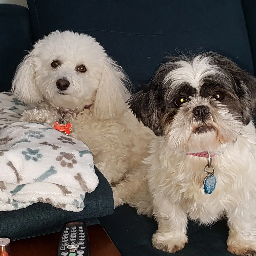 holylifton.bsky.social's profile picture