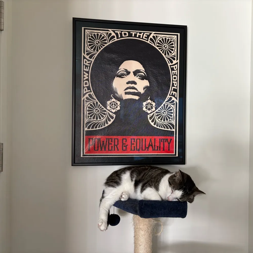 joannebelknap.bsky.social's profile picture