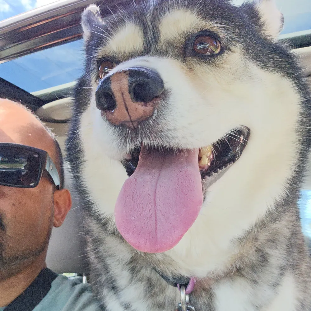 chanchan.bsky.social's profile picture