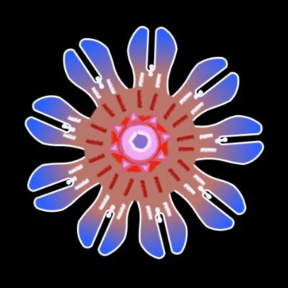 rebeccarhelm.bsky.social's profile picture