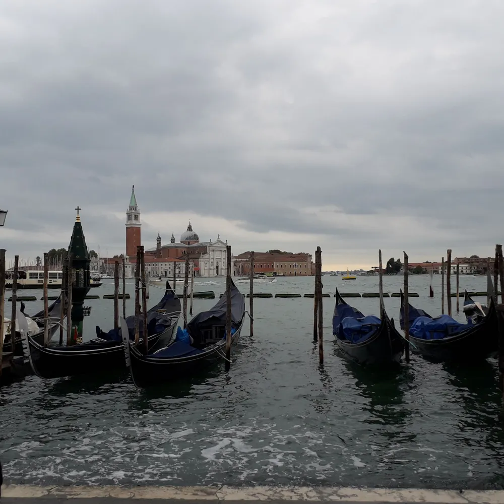 debnicktom.bsky.social's profile picture