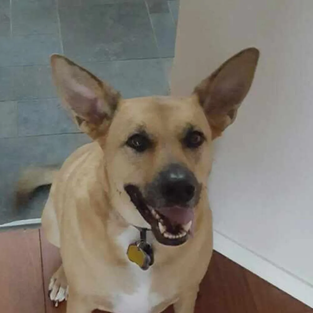 wendymac66.bsky.social's profile picture