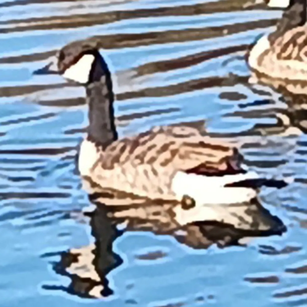 gimpynurse.bsky.social's profile picture