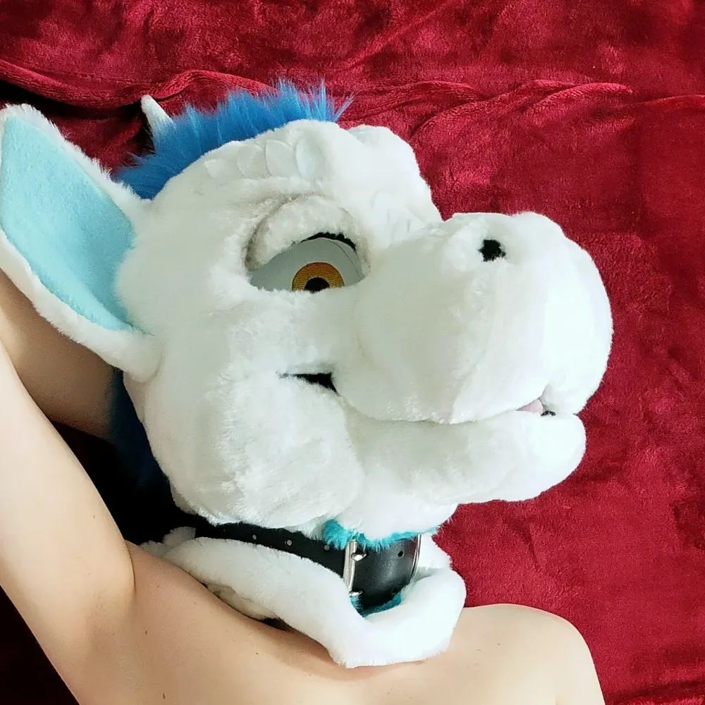 jockderg.bsky.social's profile picture