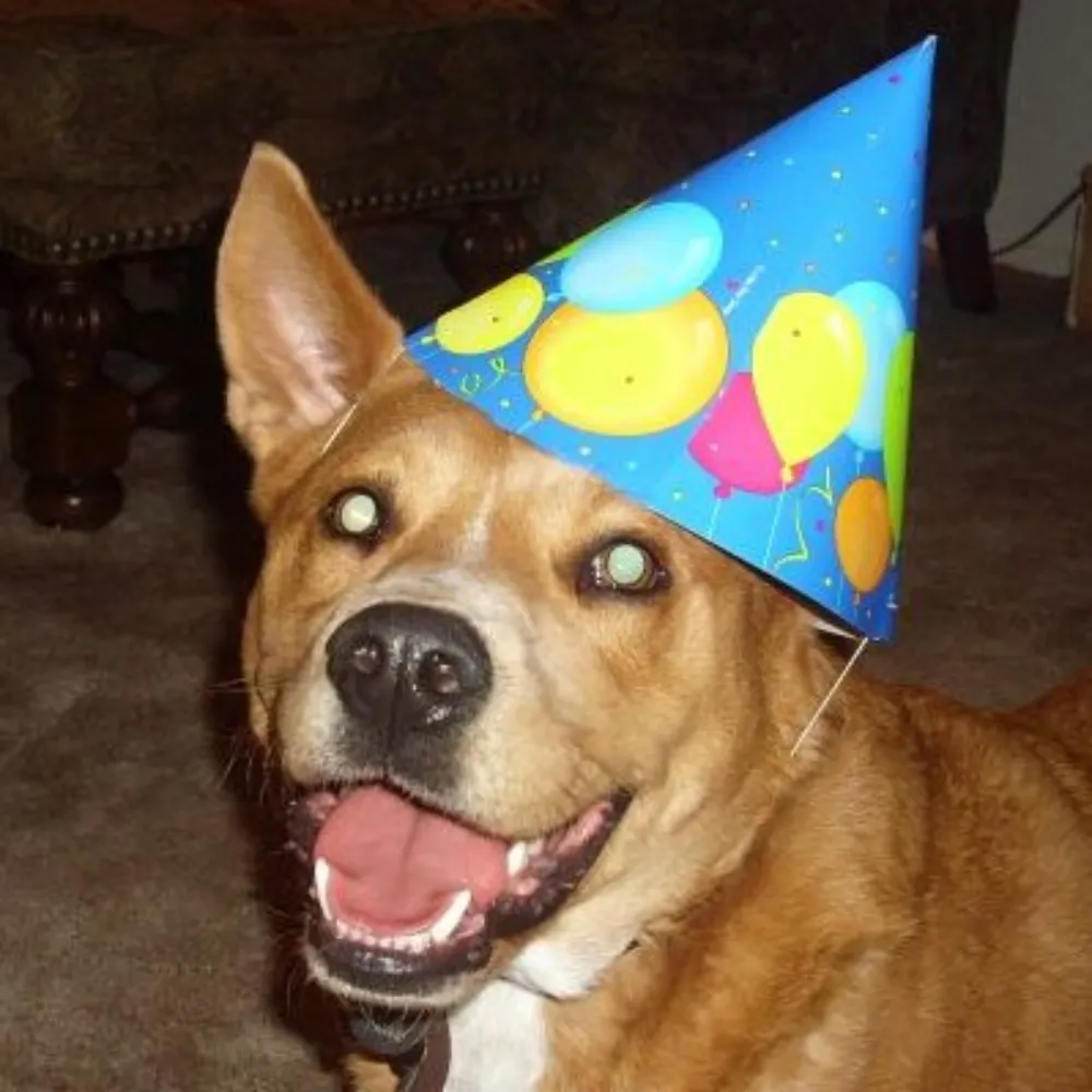 unoservix.bsky.social's profile picture