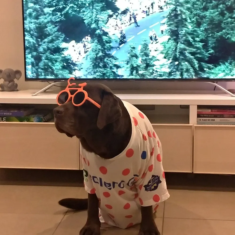 robbiethedish.bsky.social's profile picture