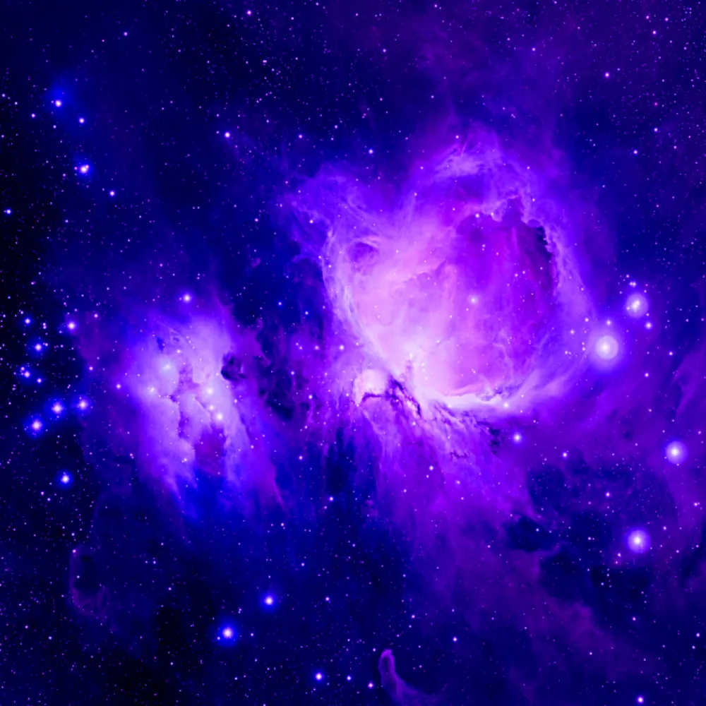 rotanen.bsky.social's profile picture