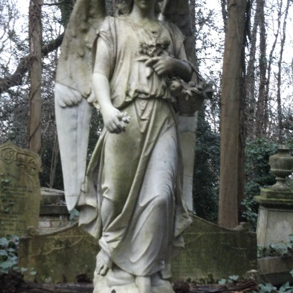 rddejong.bsky.social's profile picture