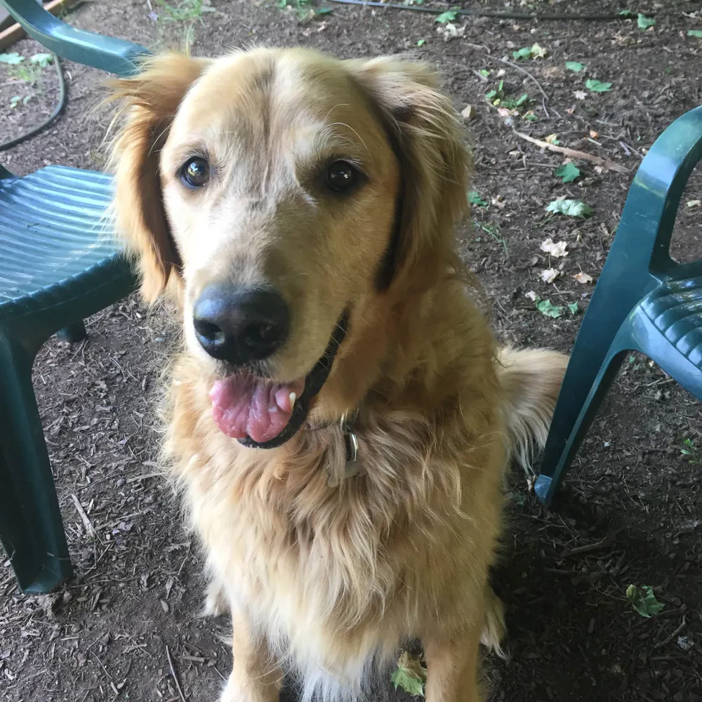 ironsquirrel.bsky.social's profile picture