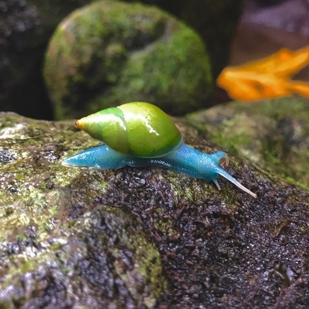 triii-staaan.bsky.social's profile picture