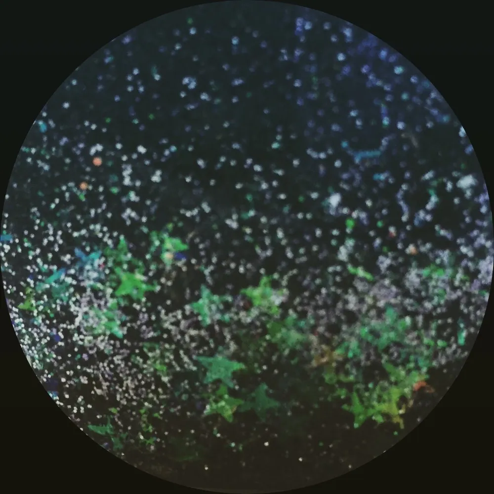 rabbit-heart.bsky.social's profile picture